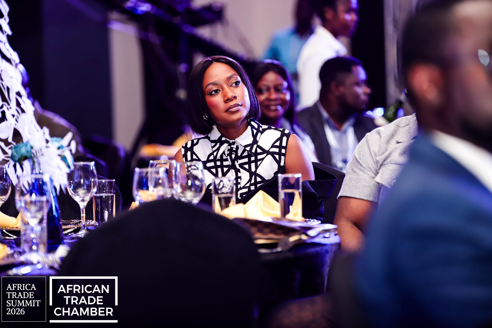 Africa Trade Awards 2026 Gala photograph 13, Accra