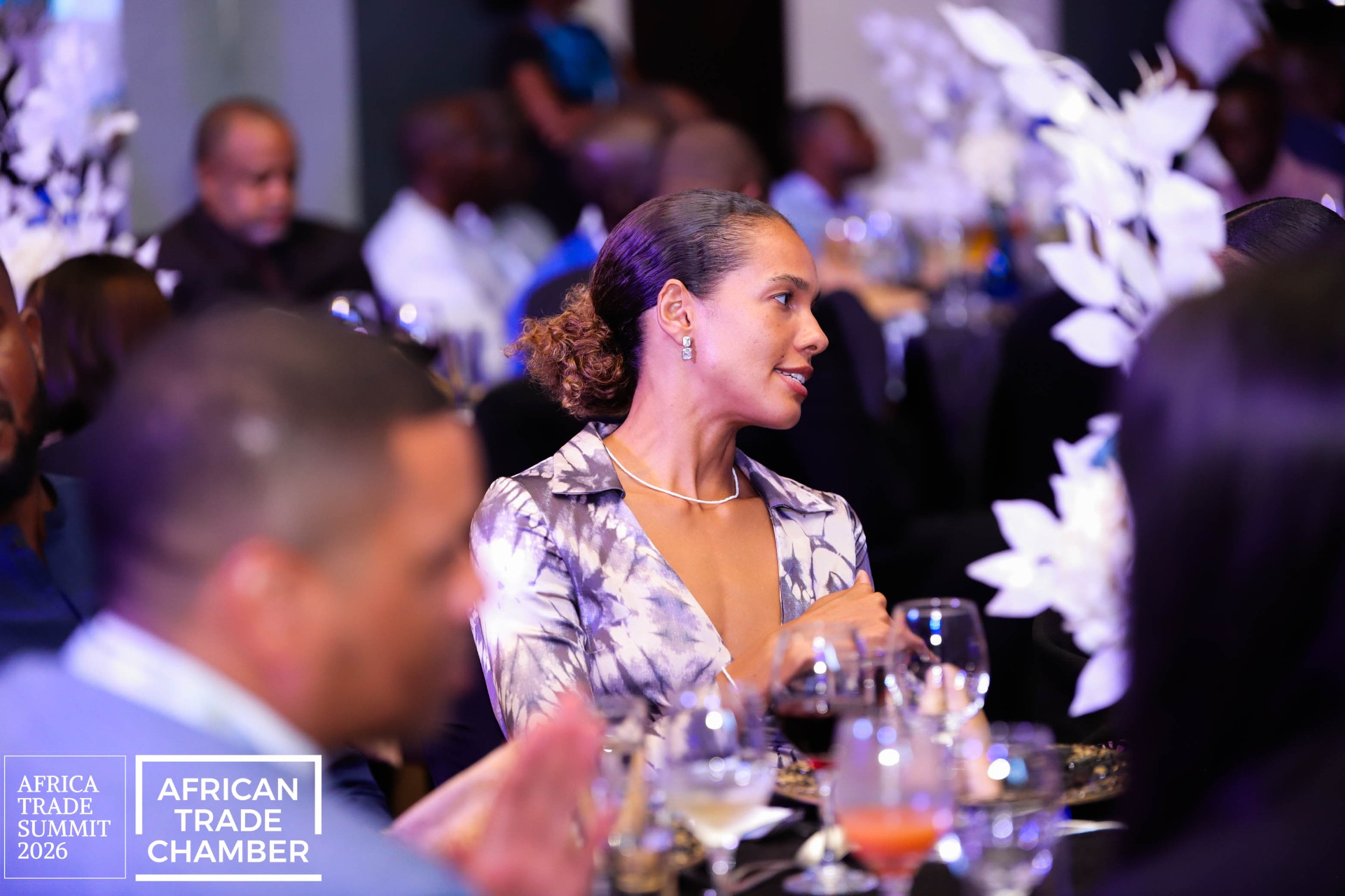 Africa Trade Awards 2026 Gala photograph 15, Accra